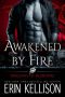 [Dragons of Bloodfire 02] • Awakened by Fire